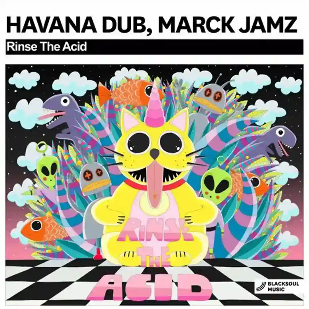 Rinse The Acid cover