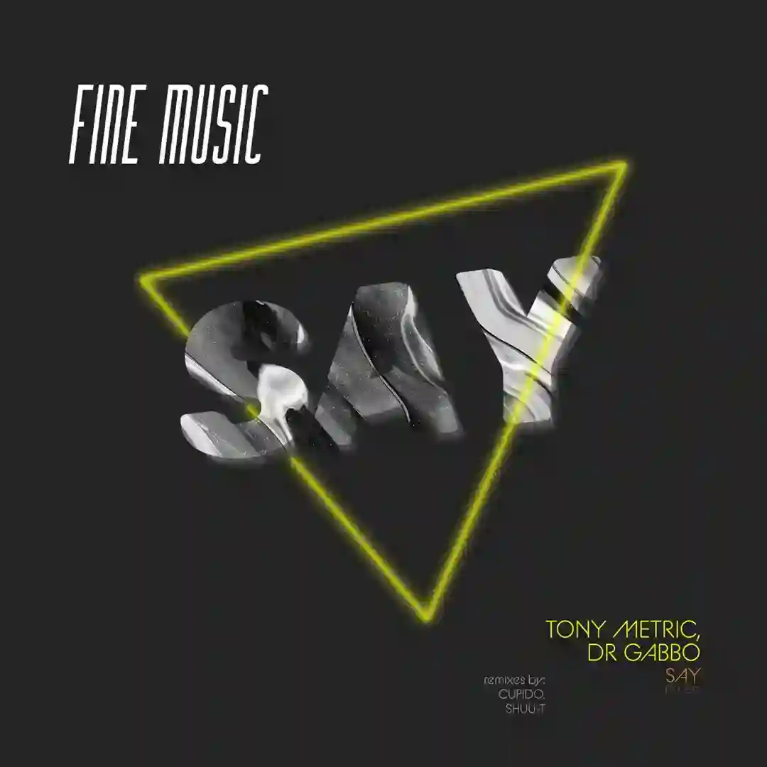 Say (Shuu-T Remix) cover