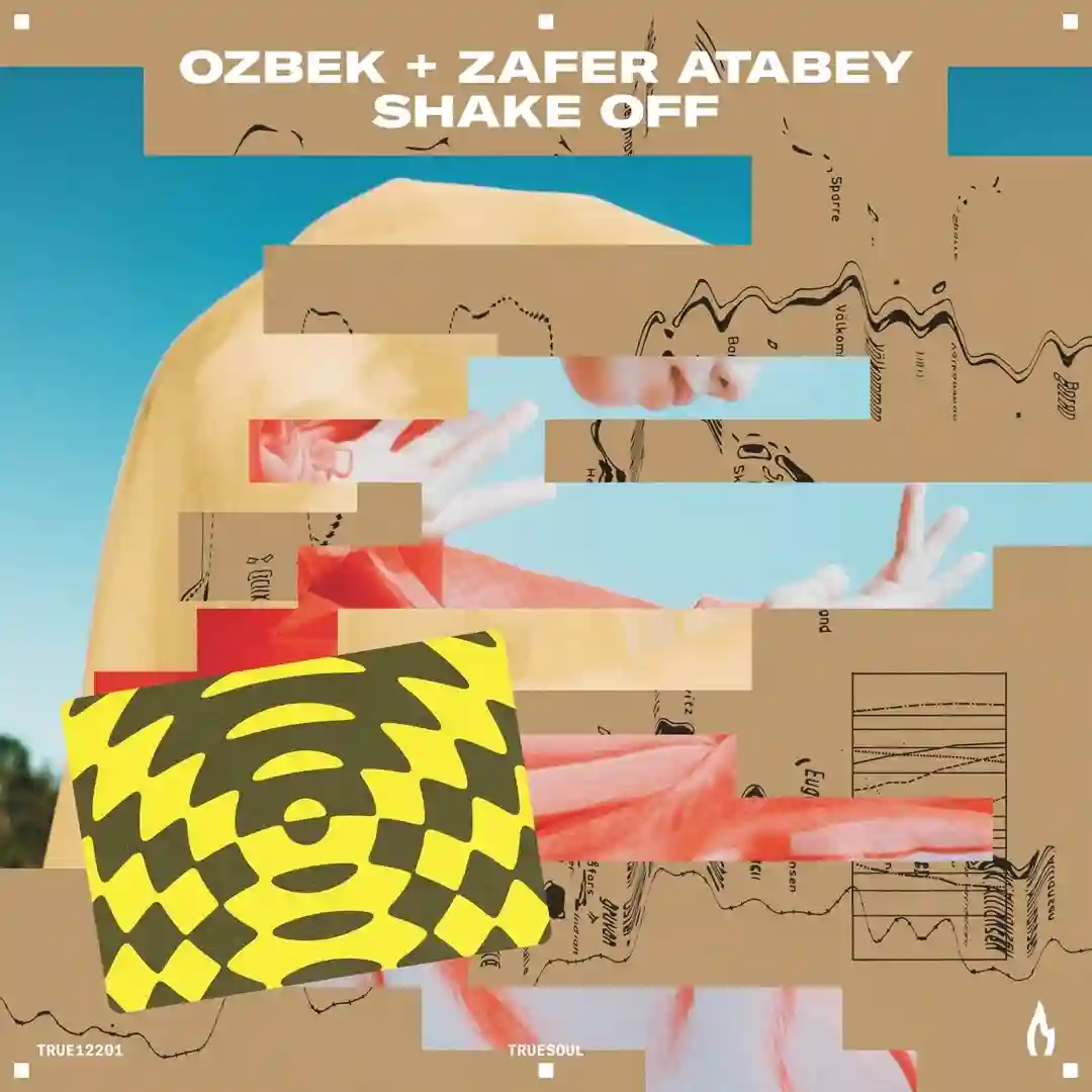Shake Off (ALTER Remix) cover