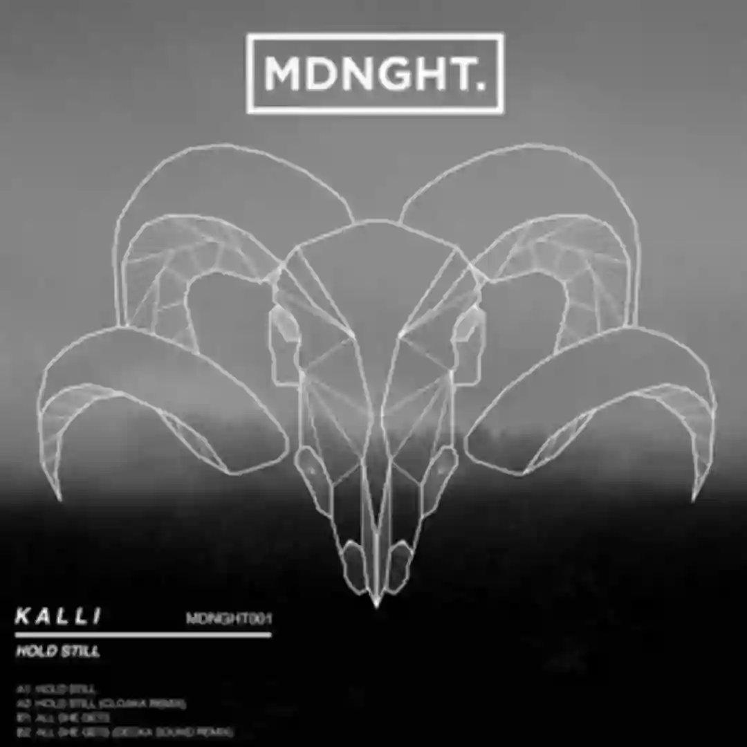 Hold Still cover