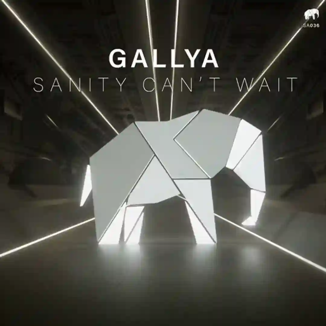 Sanity Can`t Wait cover