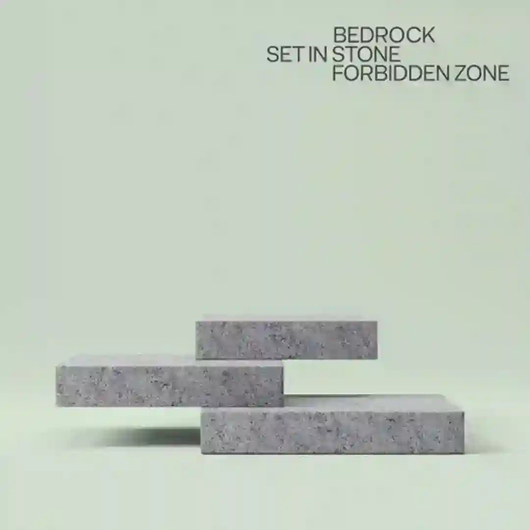 Forbidden Zone (Radio Edit) cover