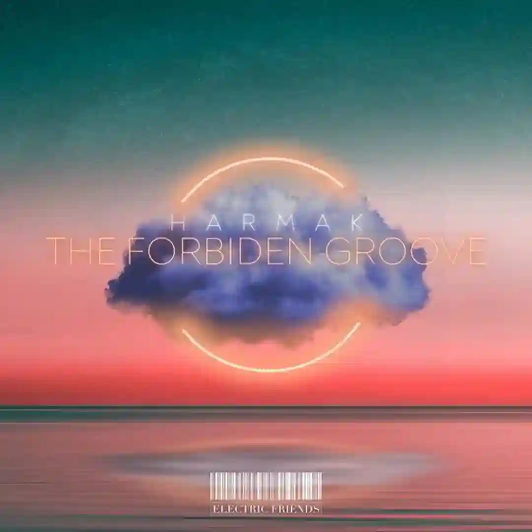 The Forbiden Groove (Original Mix) cover