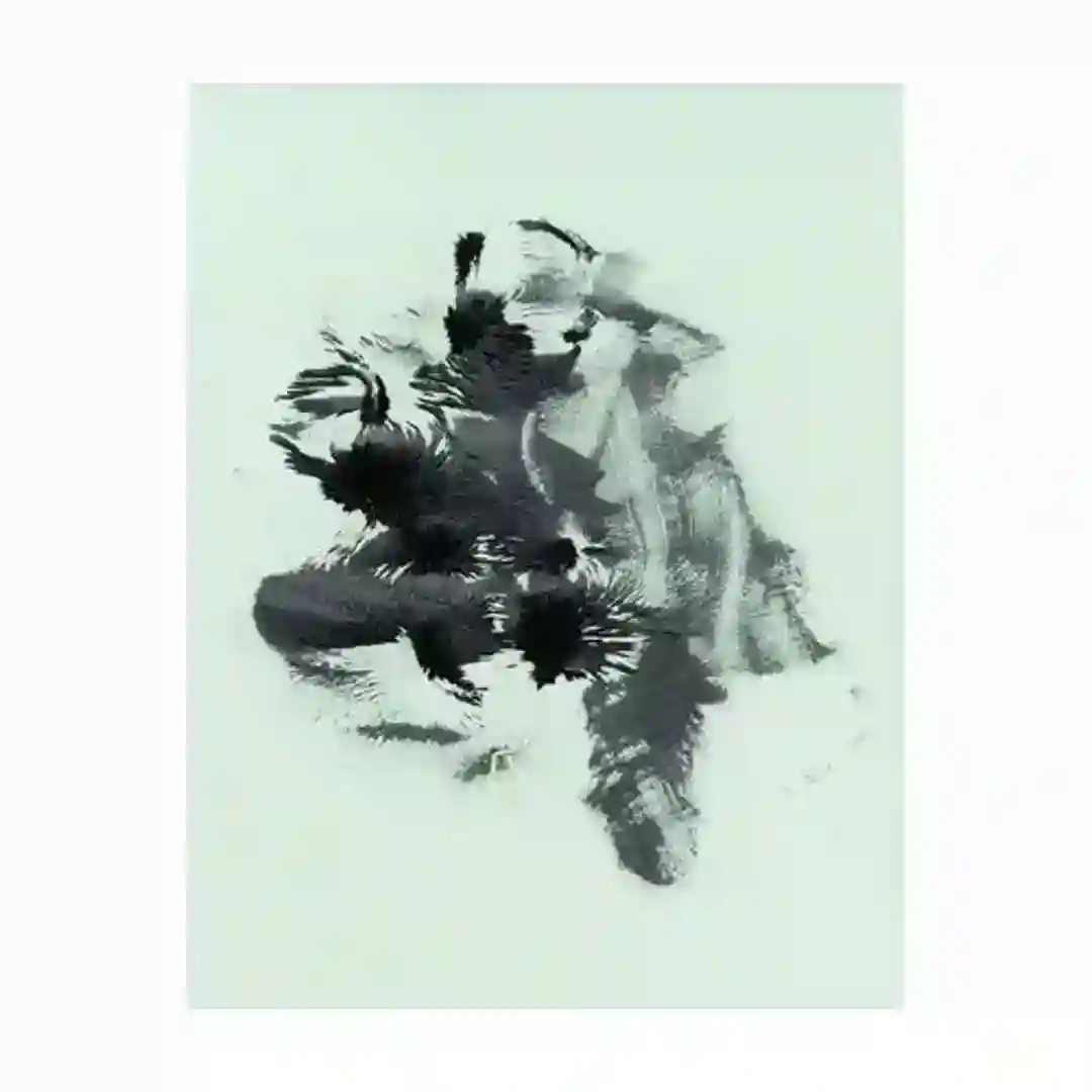 Black Windows cover