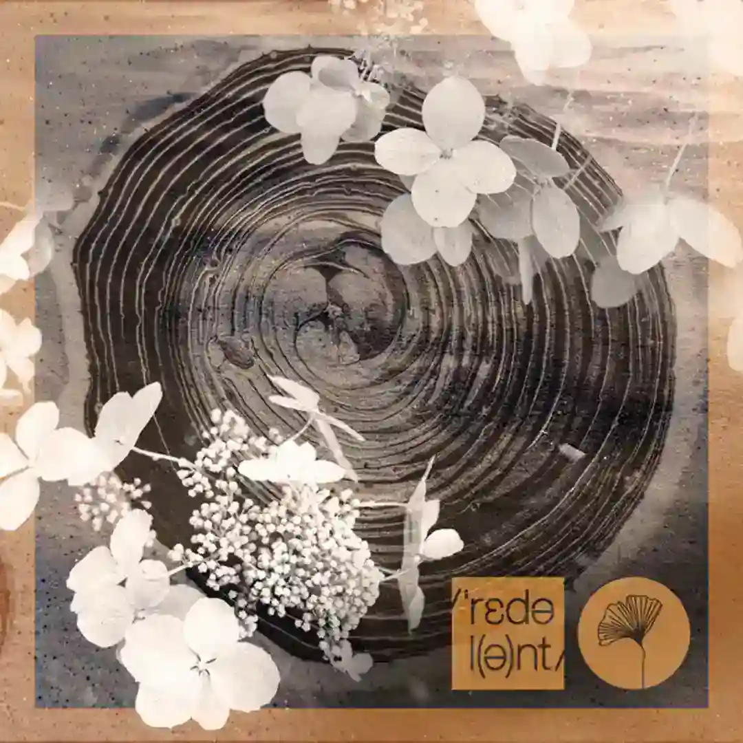 Mi Tierra cover