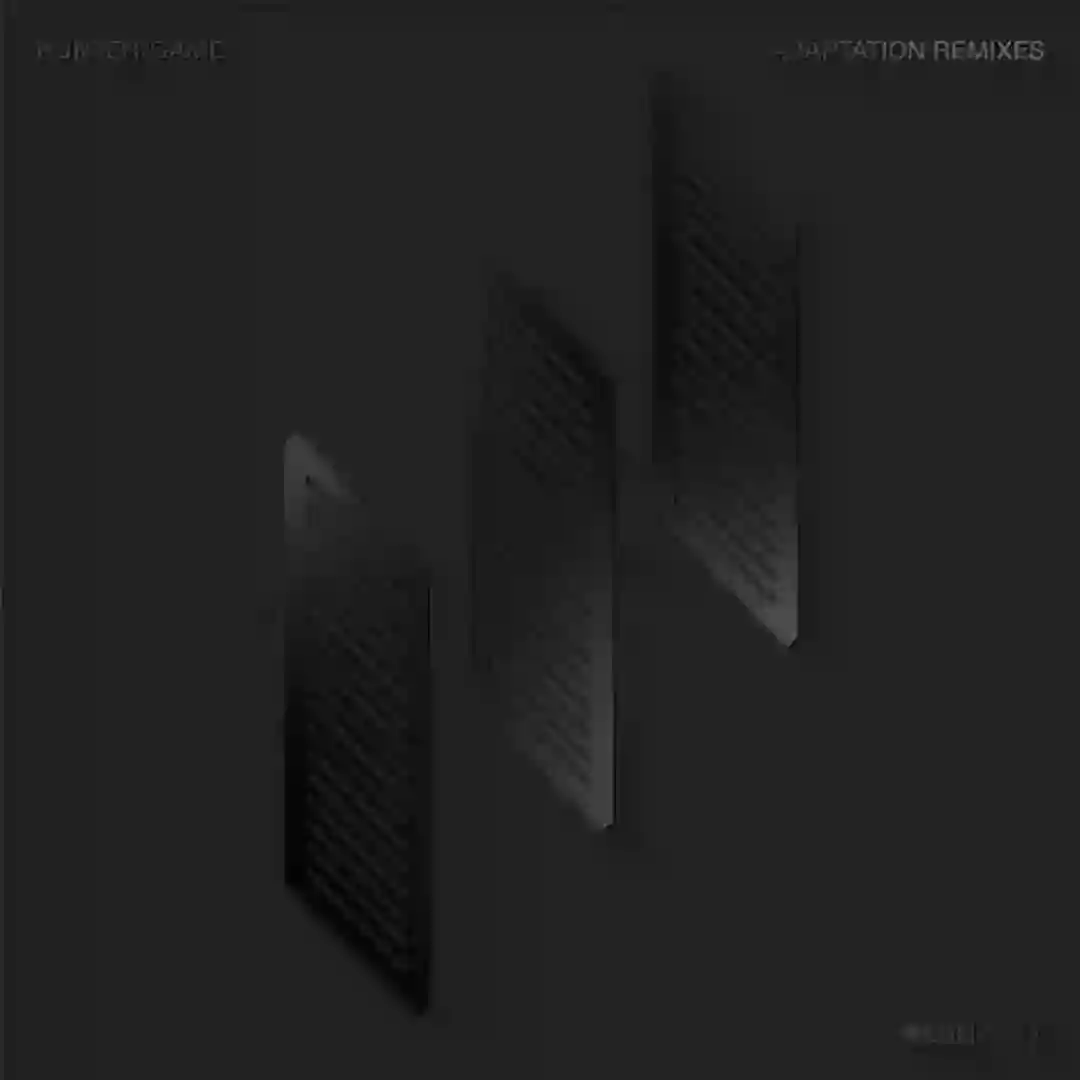 Adaptation Remixe cover