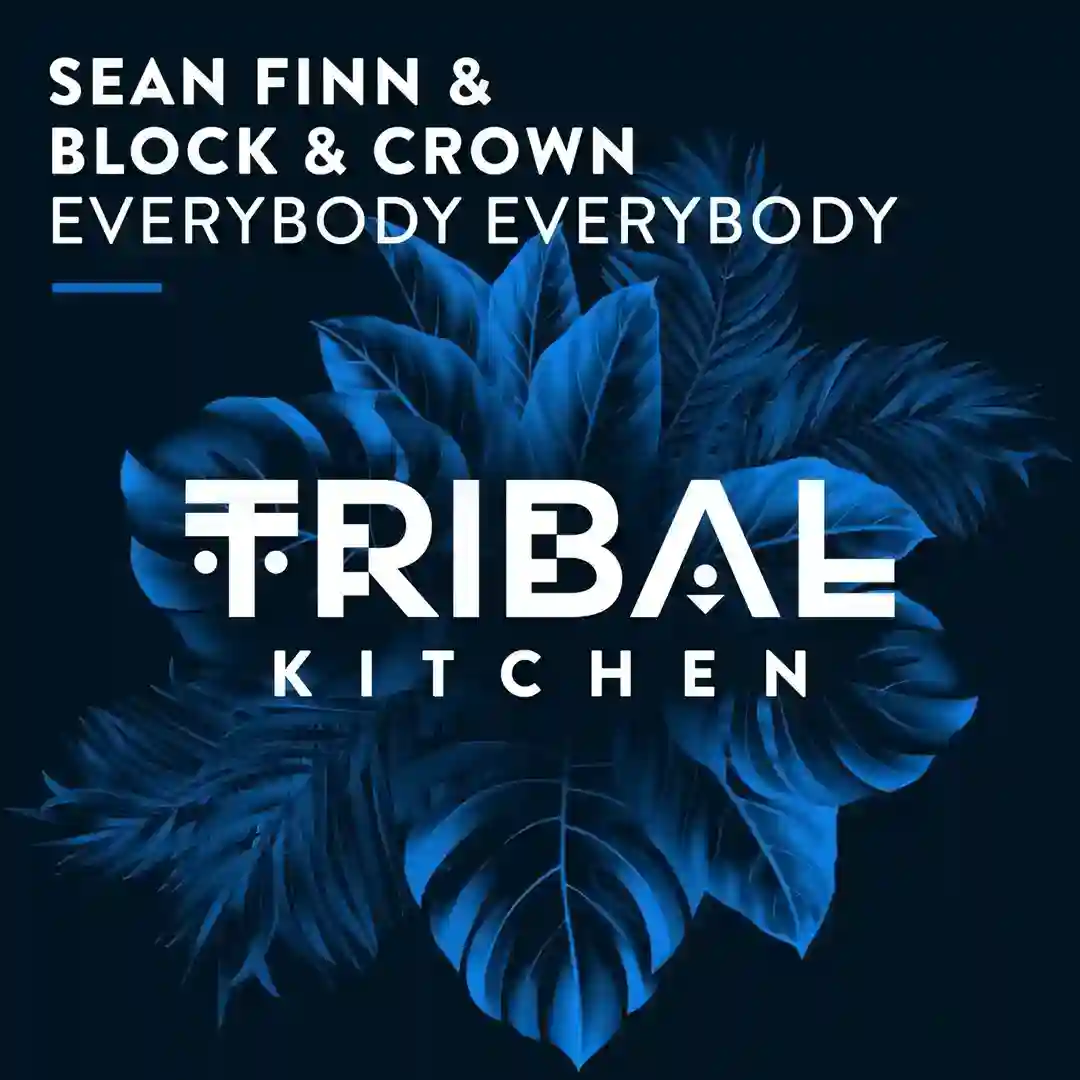 Everybody Everybody (Extended Mix) cover
