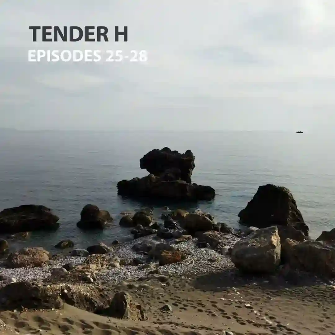 Episode 25 (Original Mix) cover