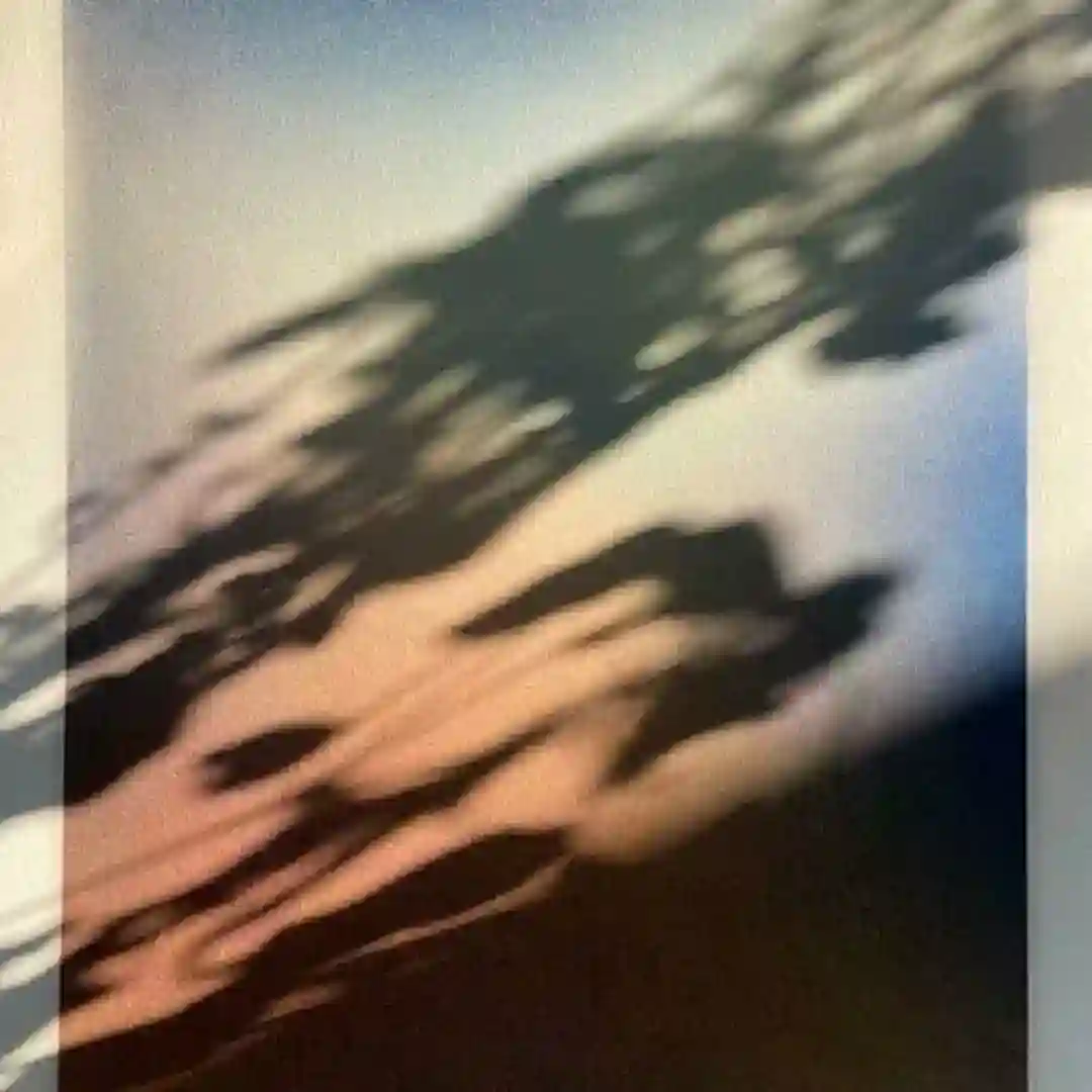 T2 cover