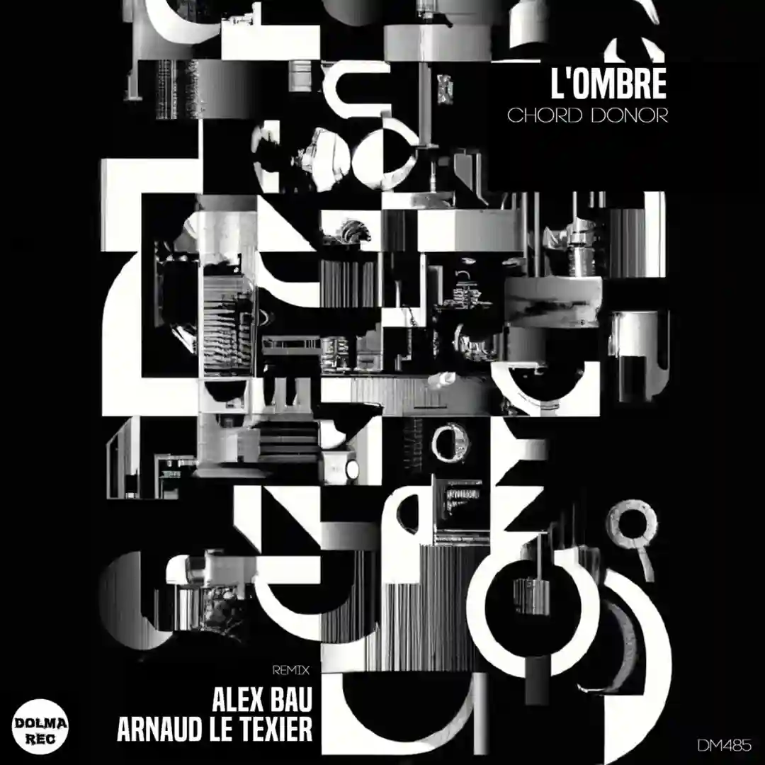 Chord Donor (Original Mix) cover