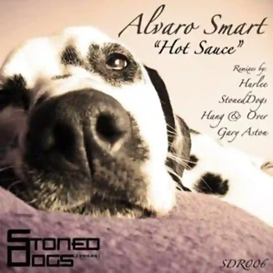 Hot Sauce (Hang & Over remix) cover