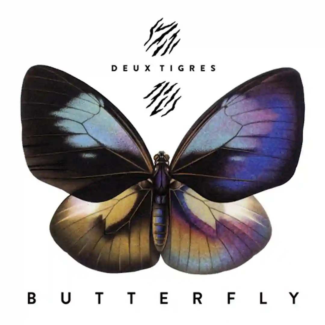 Butterfly (Robosonic Remix) cover