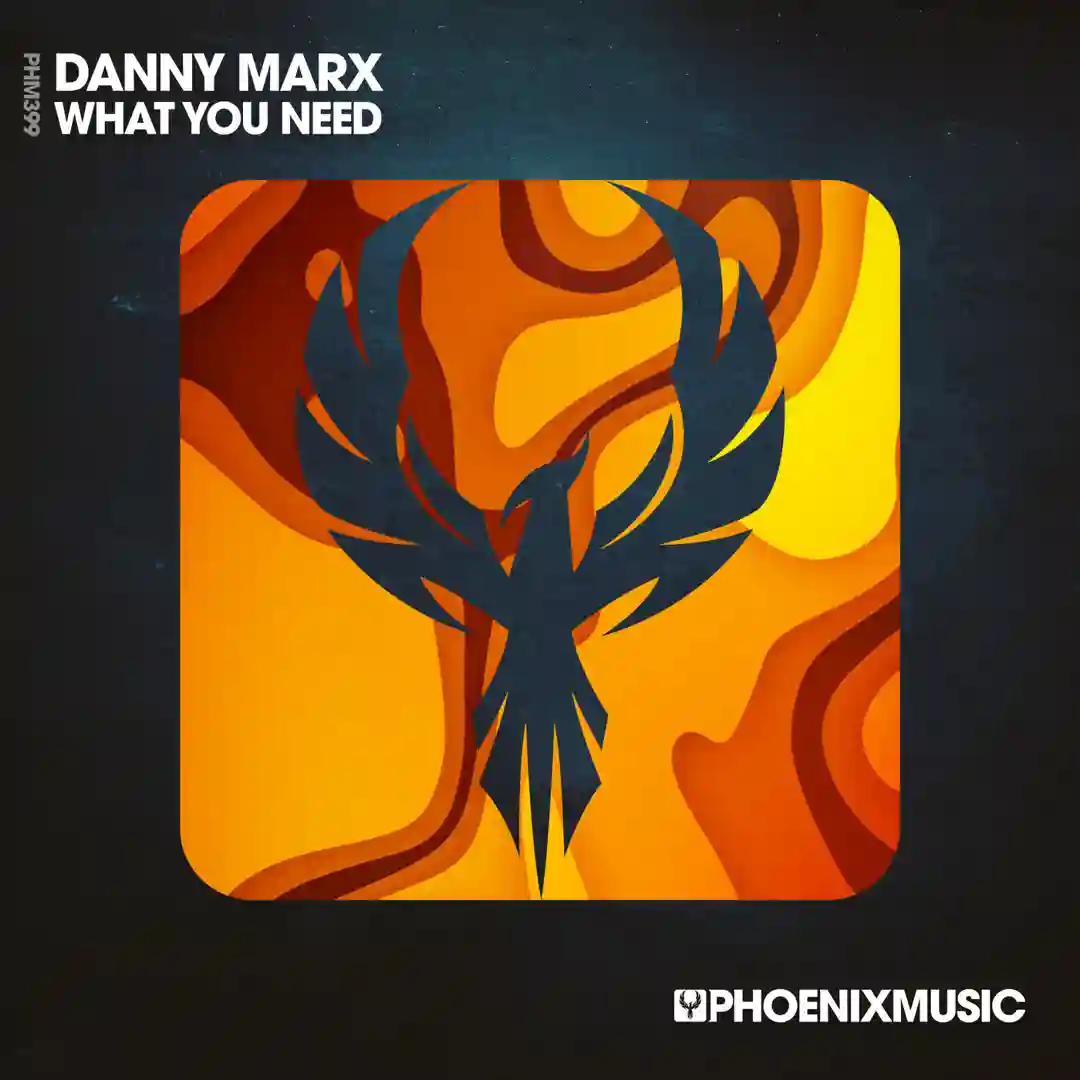 What You Need (Extended Mix) cover