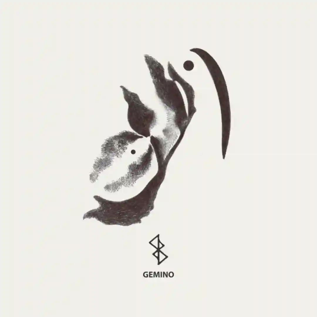 Animus (Original Mix) cover