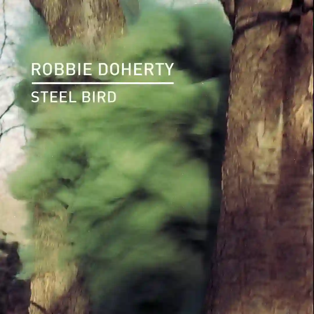 Steel Bird cover