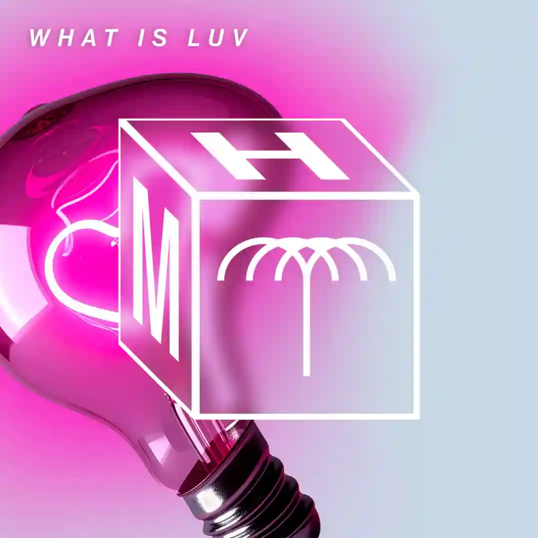 What Is Luv (Extended Mix) cover