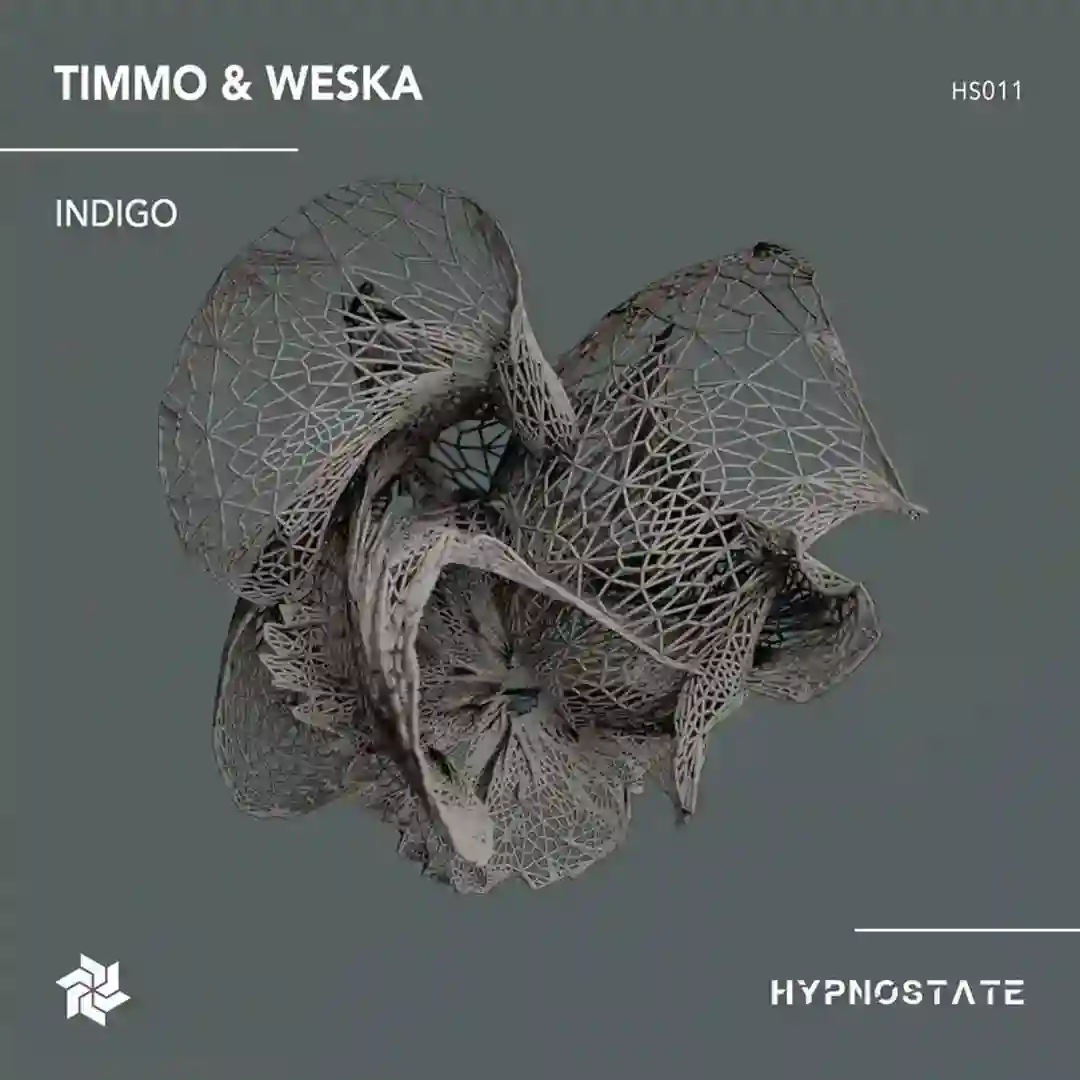Indigo cover