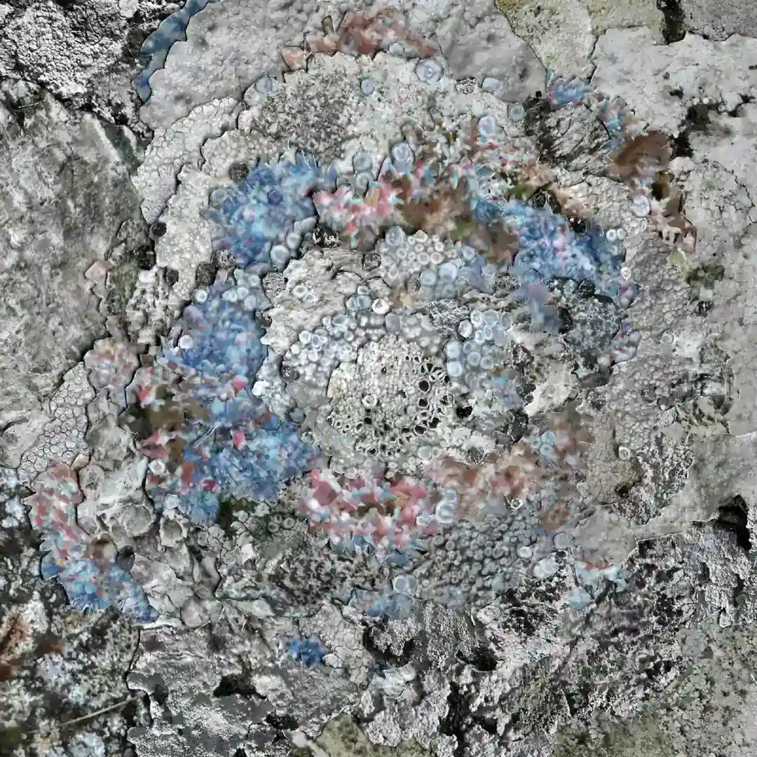 First Row, Full Circle (Original Mix) cover
