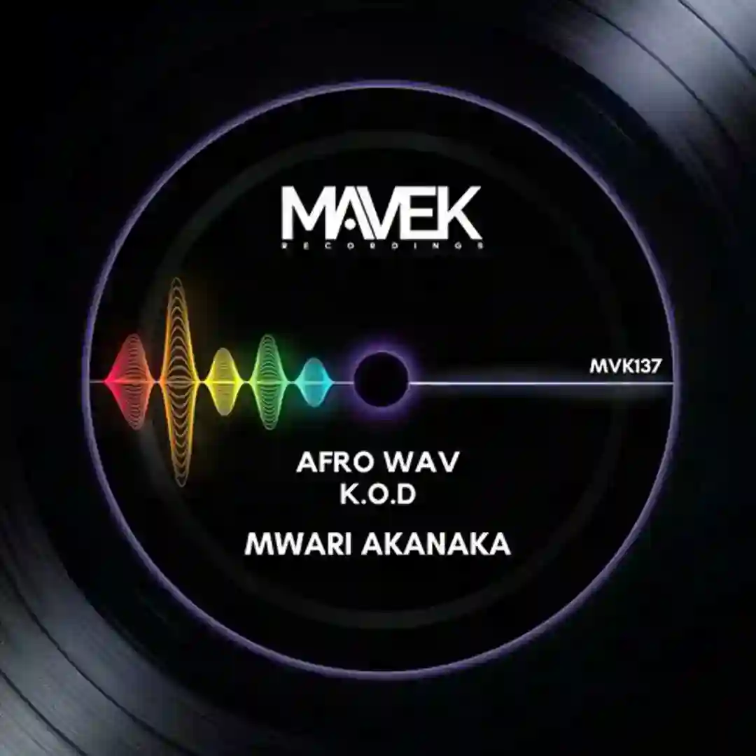 Mwari Akanaka (Afro Electronica Mix) cover