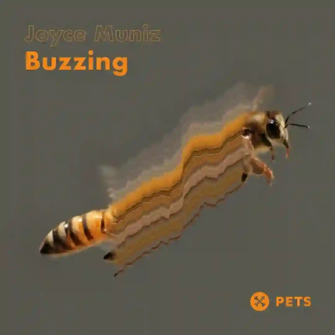 Buzzing cover