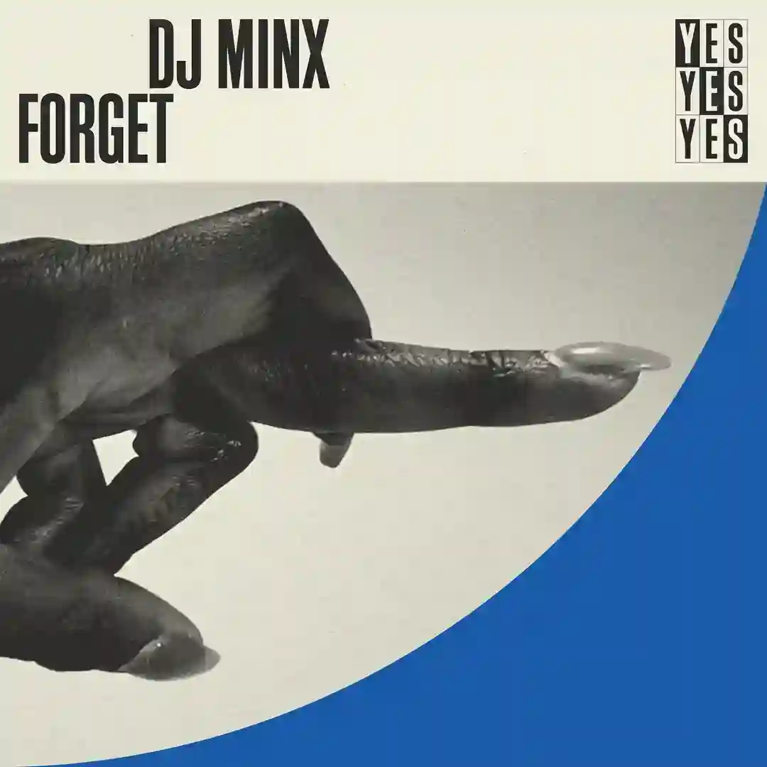 Forget - Extended Mix cover