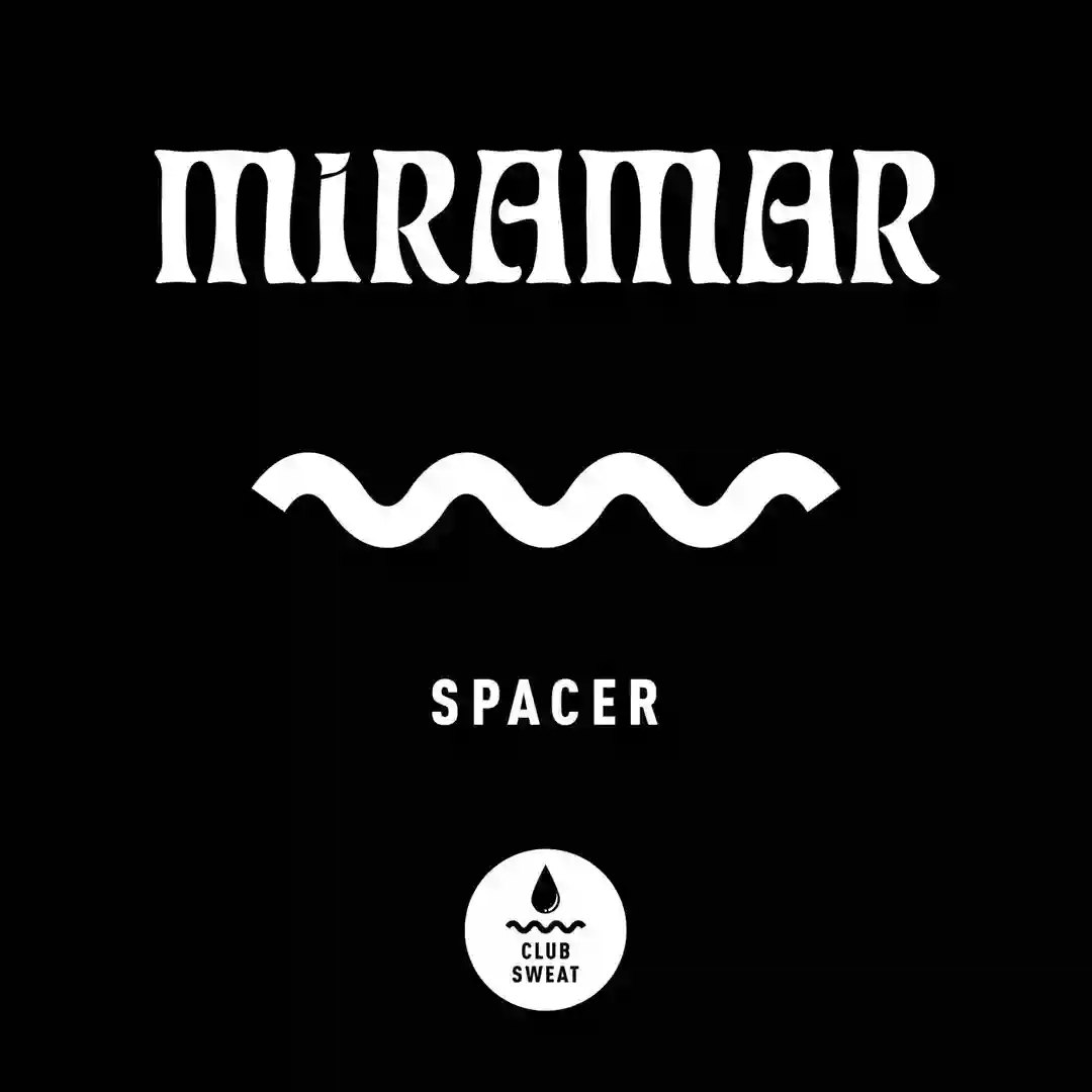 Spacer (Extended Mix) cover
