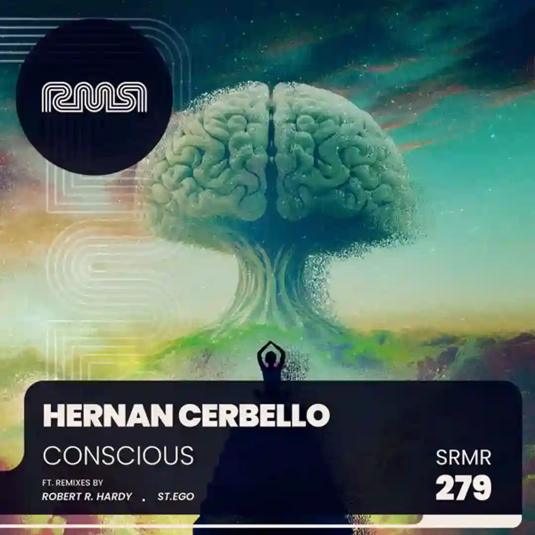 Conscious (Robert R. Hardy Remix) cover