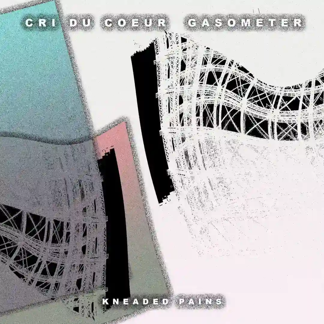Gasometer cover