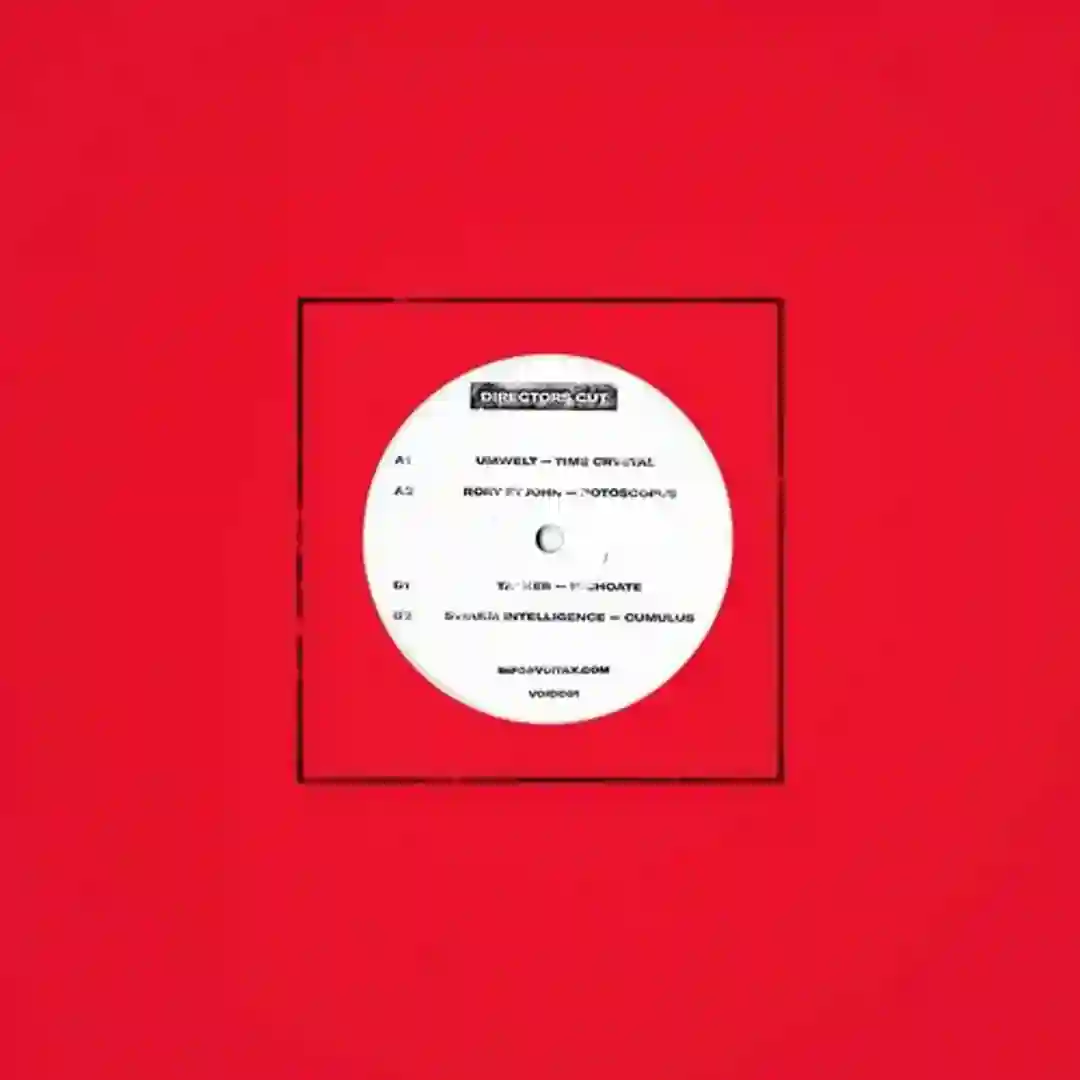 Rotoscopus (Original Mix) cover