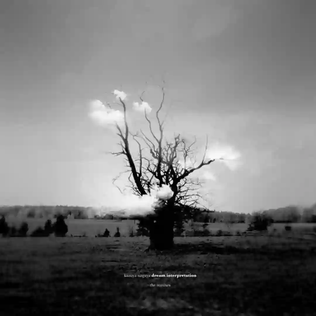 Thanatos (Dubfire Remix) cover