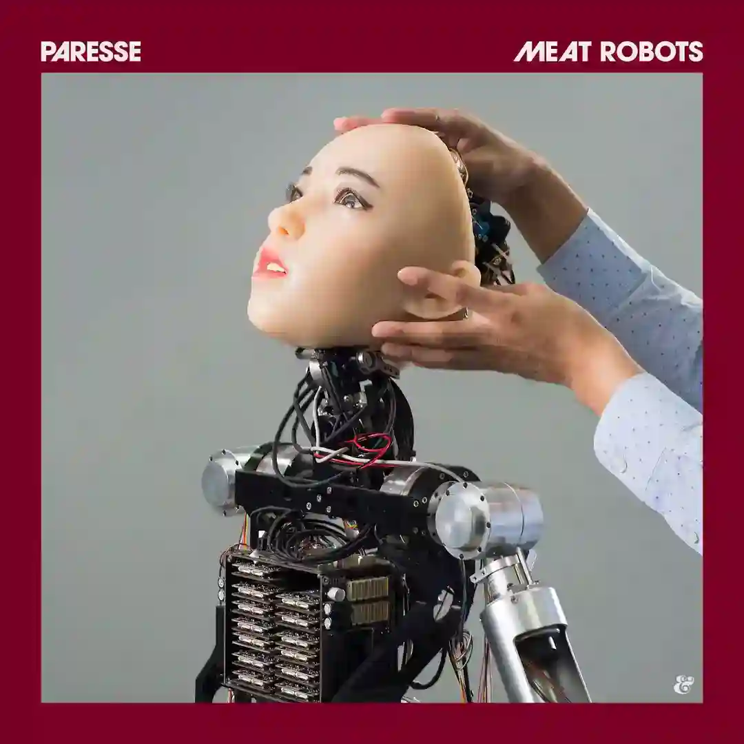 Meat Robots (Curses Remix) cover