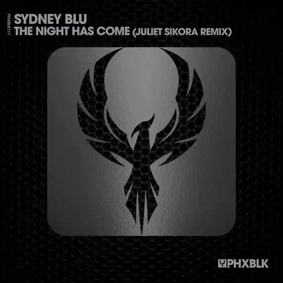 The Night Has Come (Juliet Sikora Remix) cover