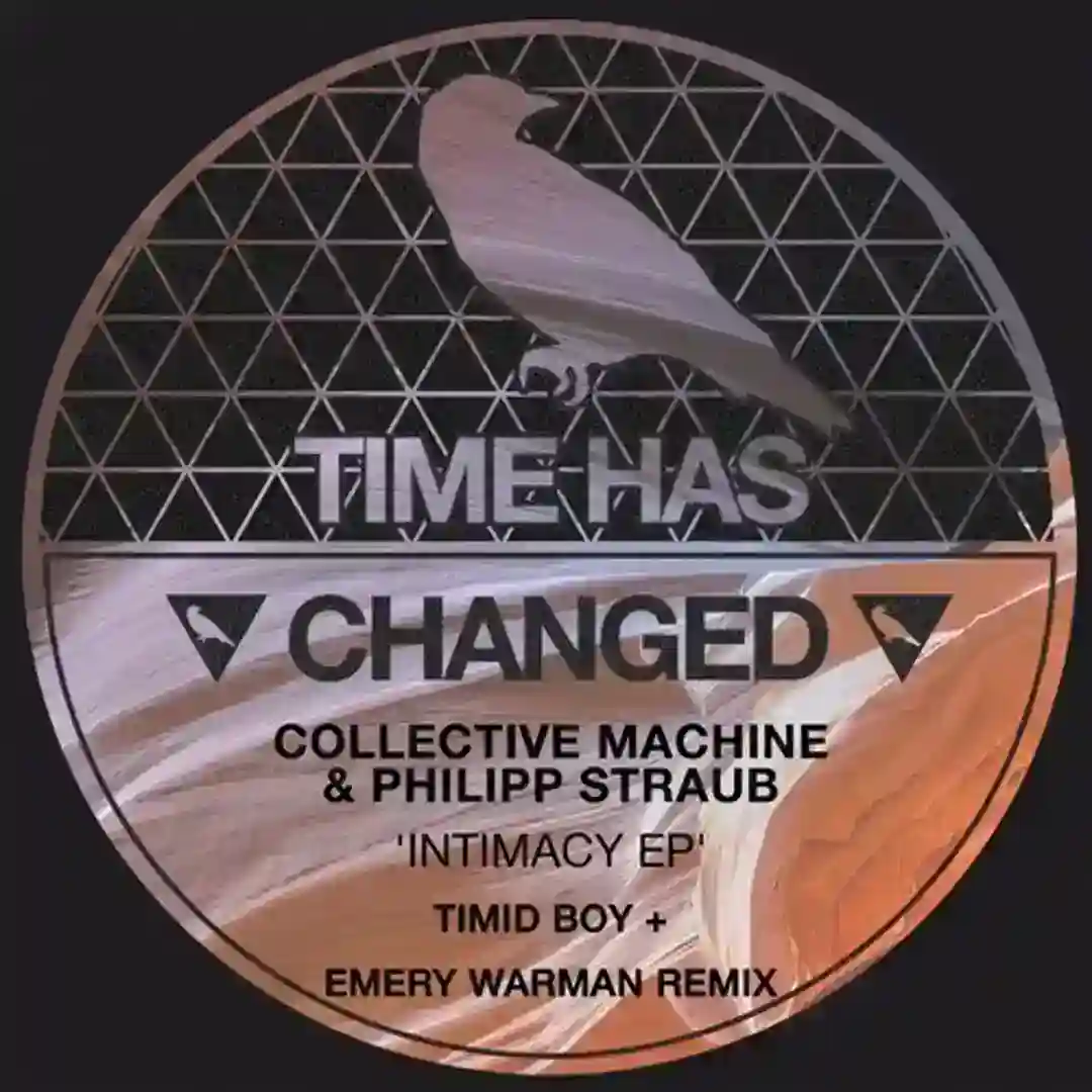 Intimacy (Timid Boy Remix) cover