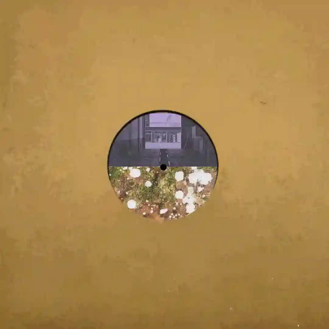 Wither (2024 Remaster) cover