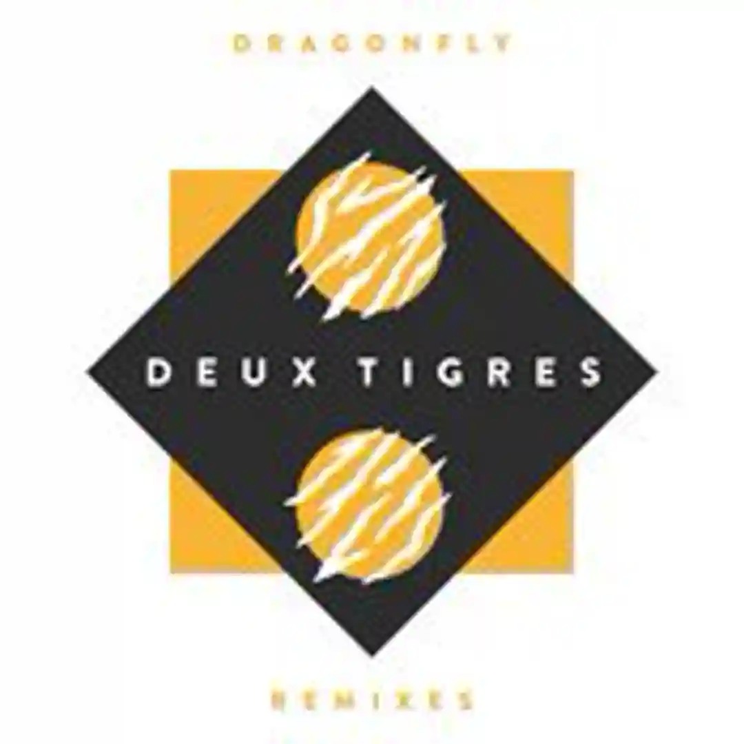 Dragonfly (Sasse Remix) cover