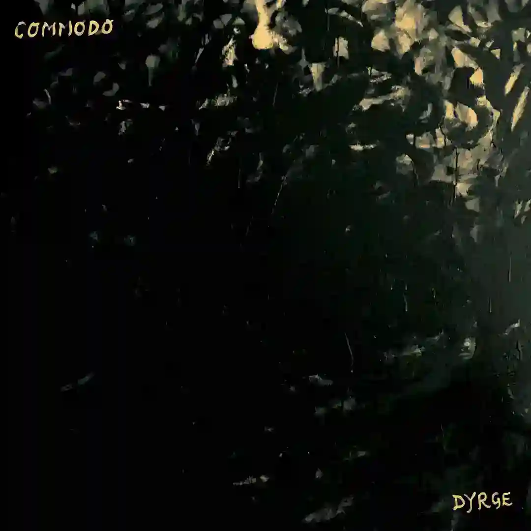 Dyrge cover