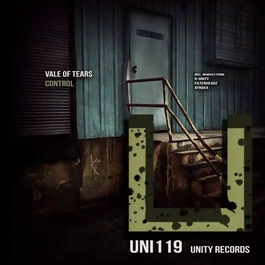 Control (D-Unity Remix) cover