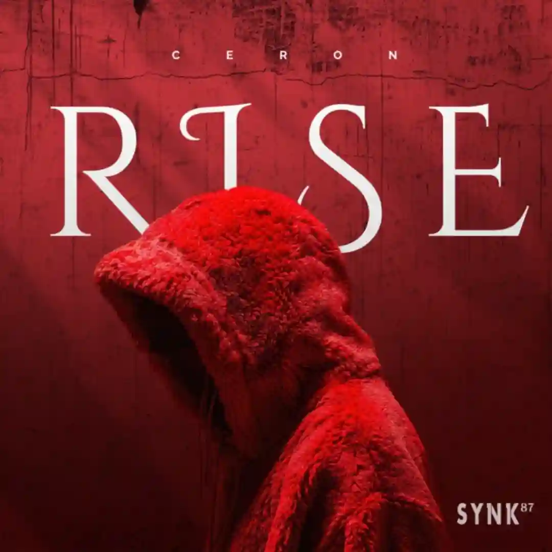 Rise (Original Mix) cover