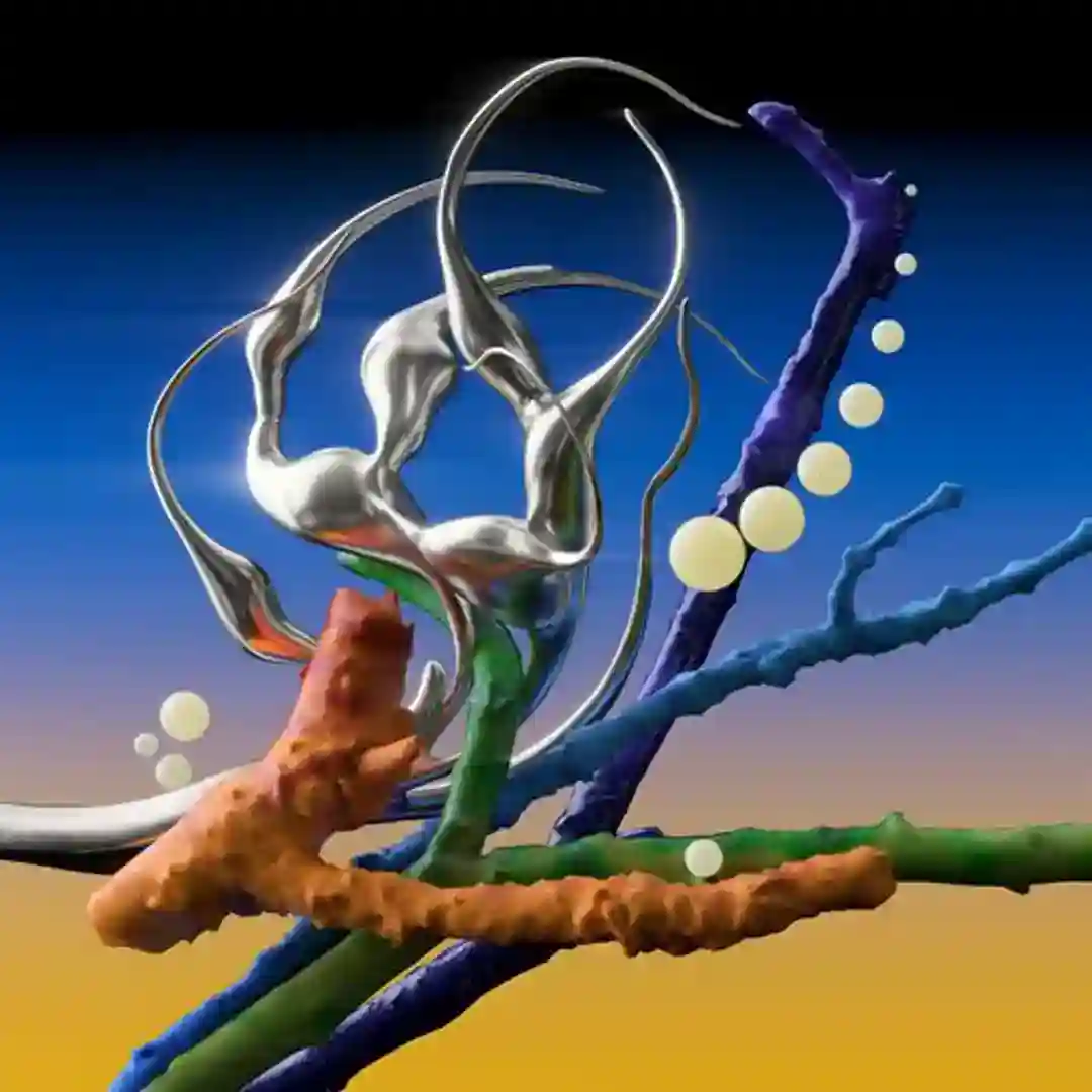 E-Functions cover