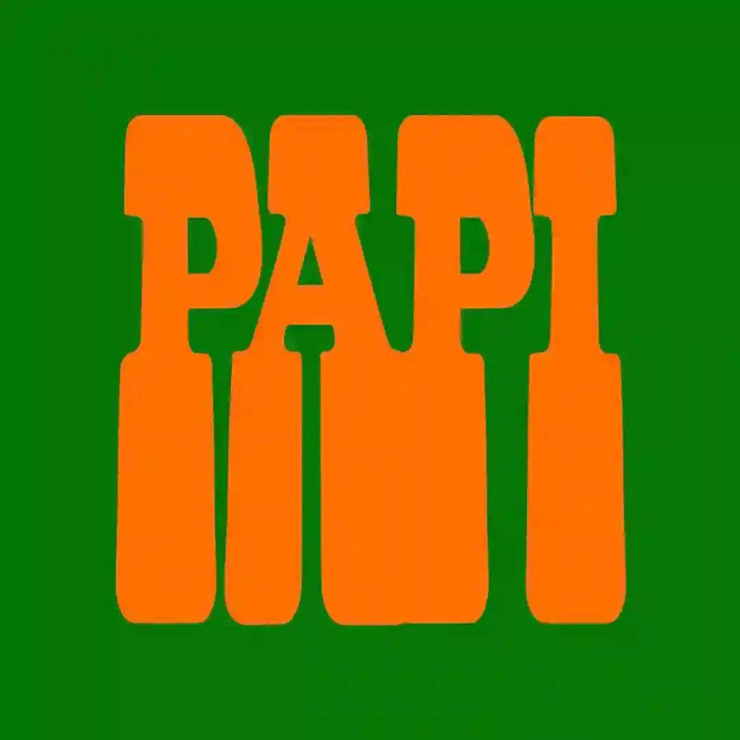 Papi (Extended Mix) cover