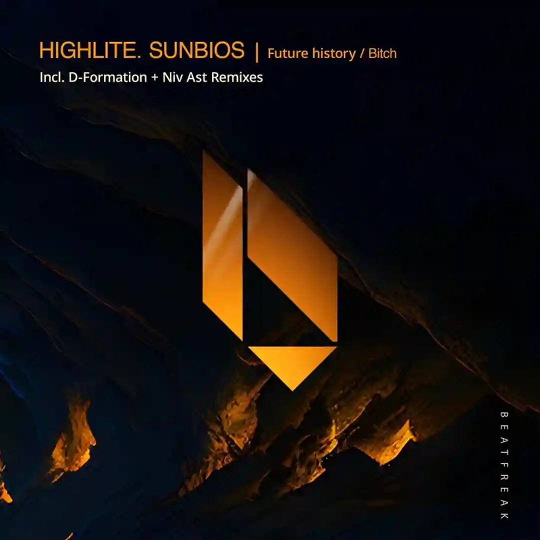 Future History (Original Mix) cover