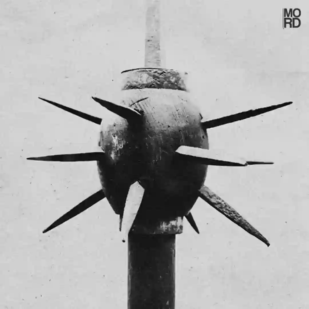 Confused cover