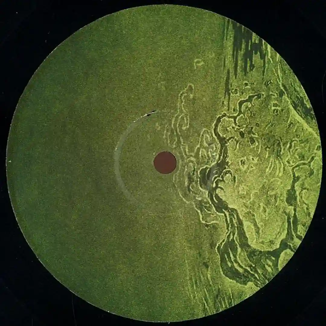 Track 2 (Babe Roots Remix) cover