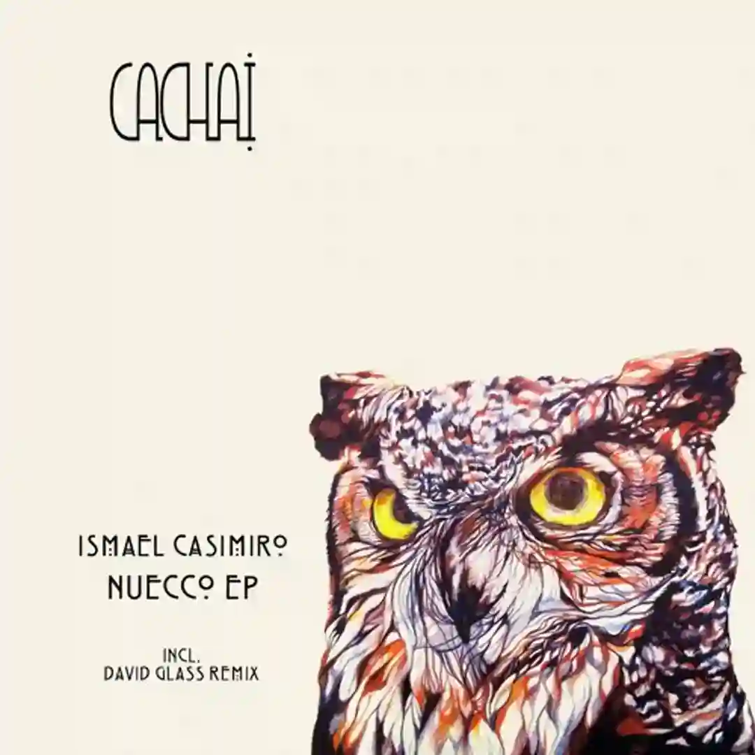 Nuecco (David Glass Remix) cover