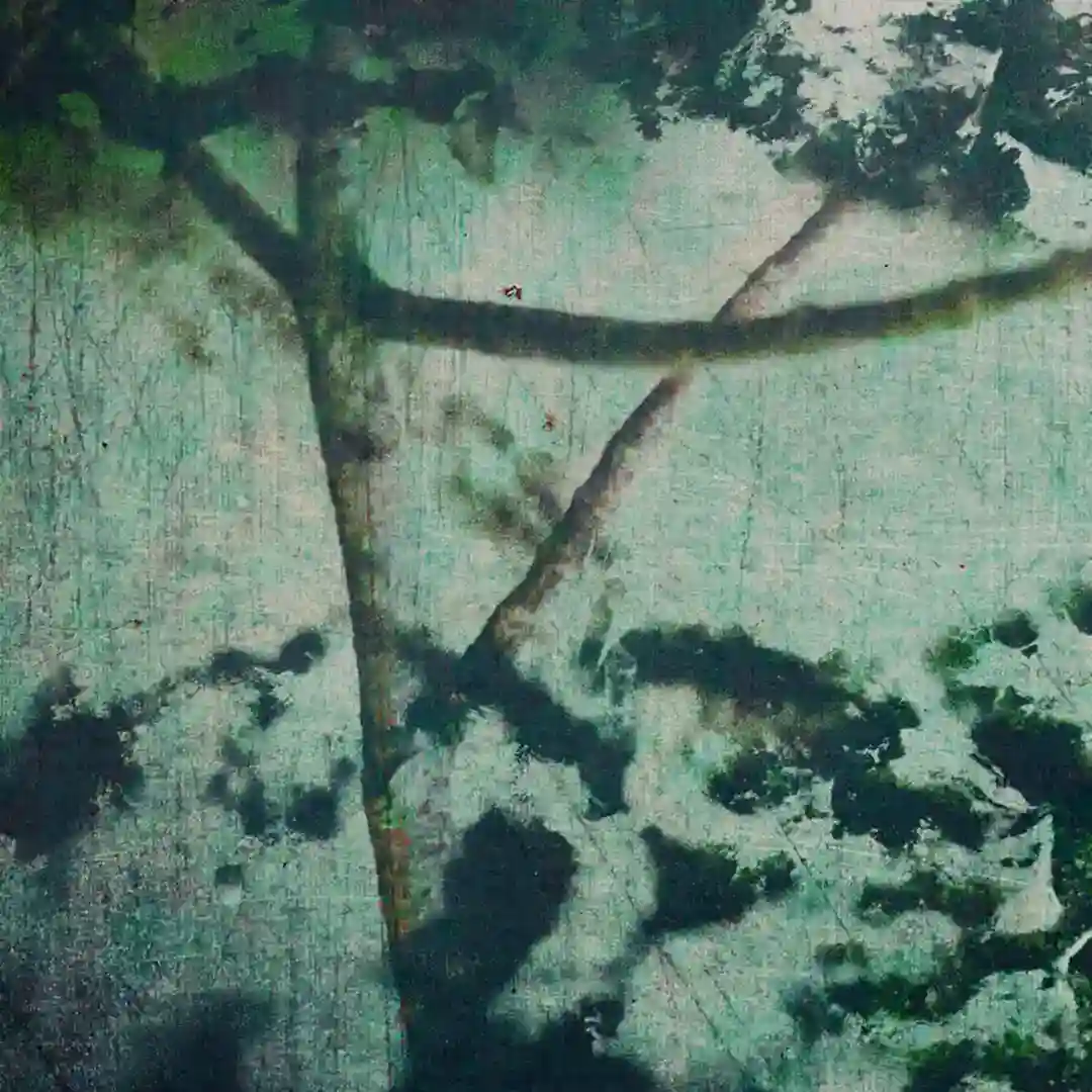 Rorschach featuring Flo State (Original Mix) cover