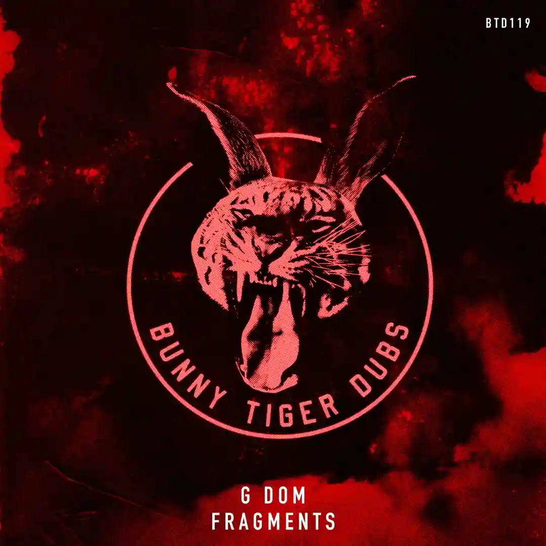 Fragments (Extended Mix) cover
