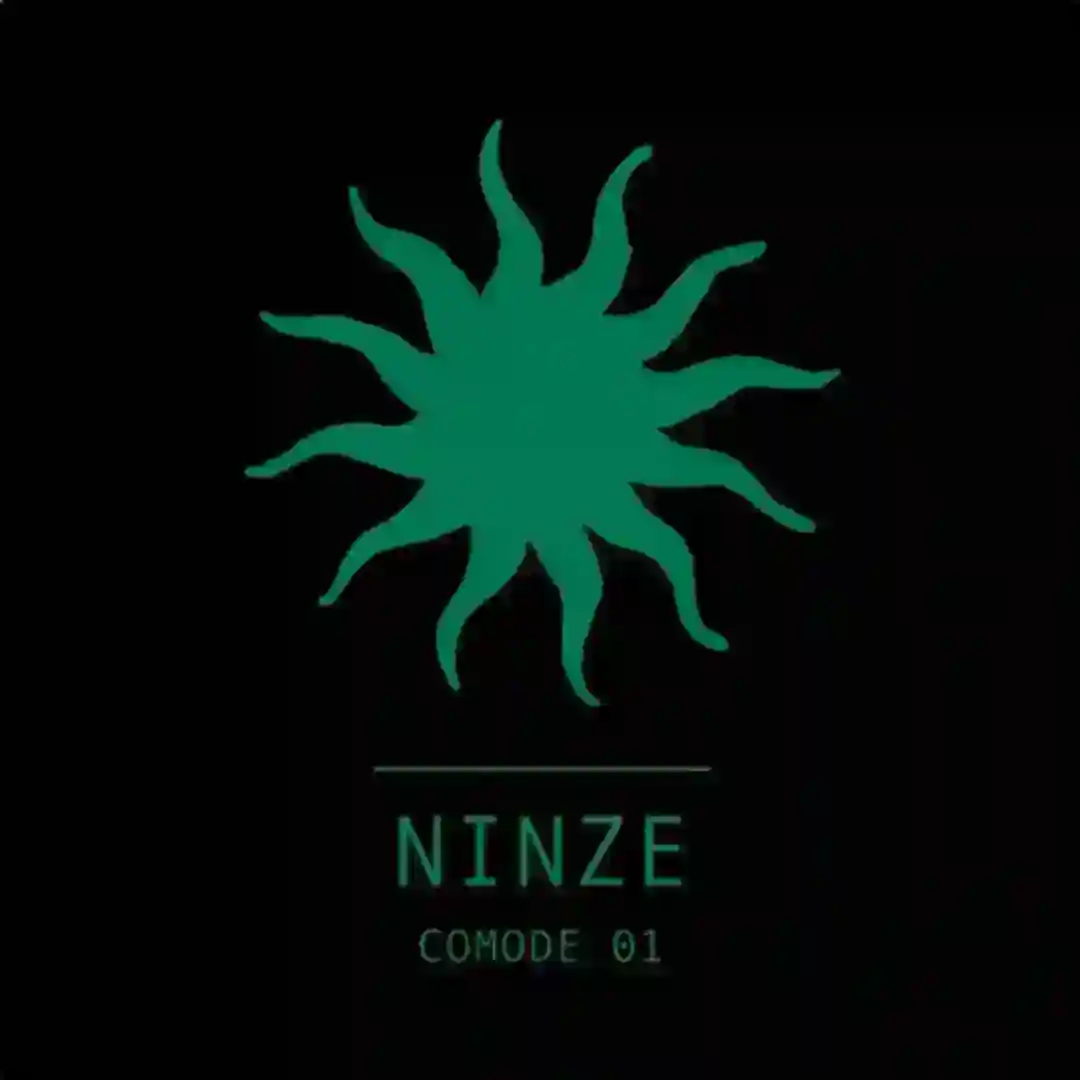 Lenz (Original Mix) cover