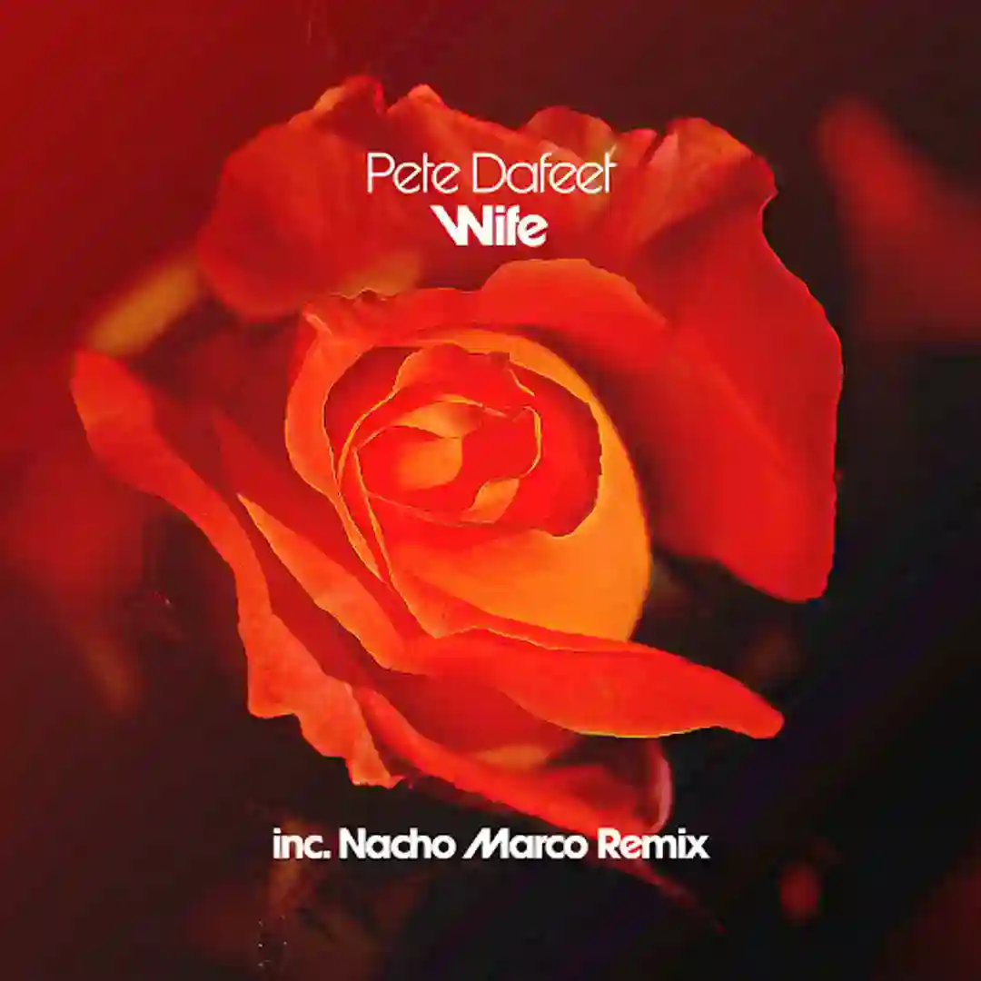 Wife (Nacho Marco Remix) cover