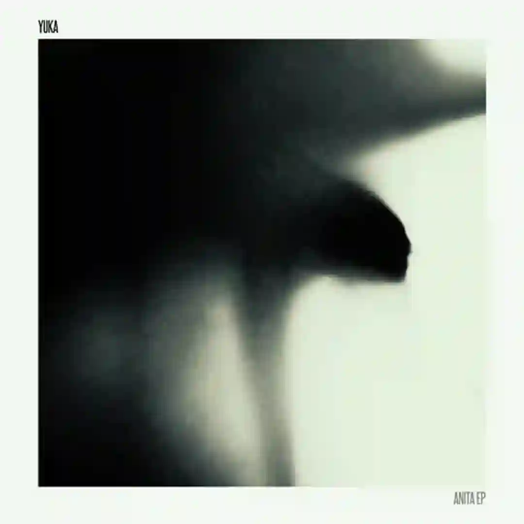 Anita (Original Mix) cover