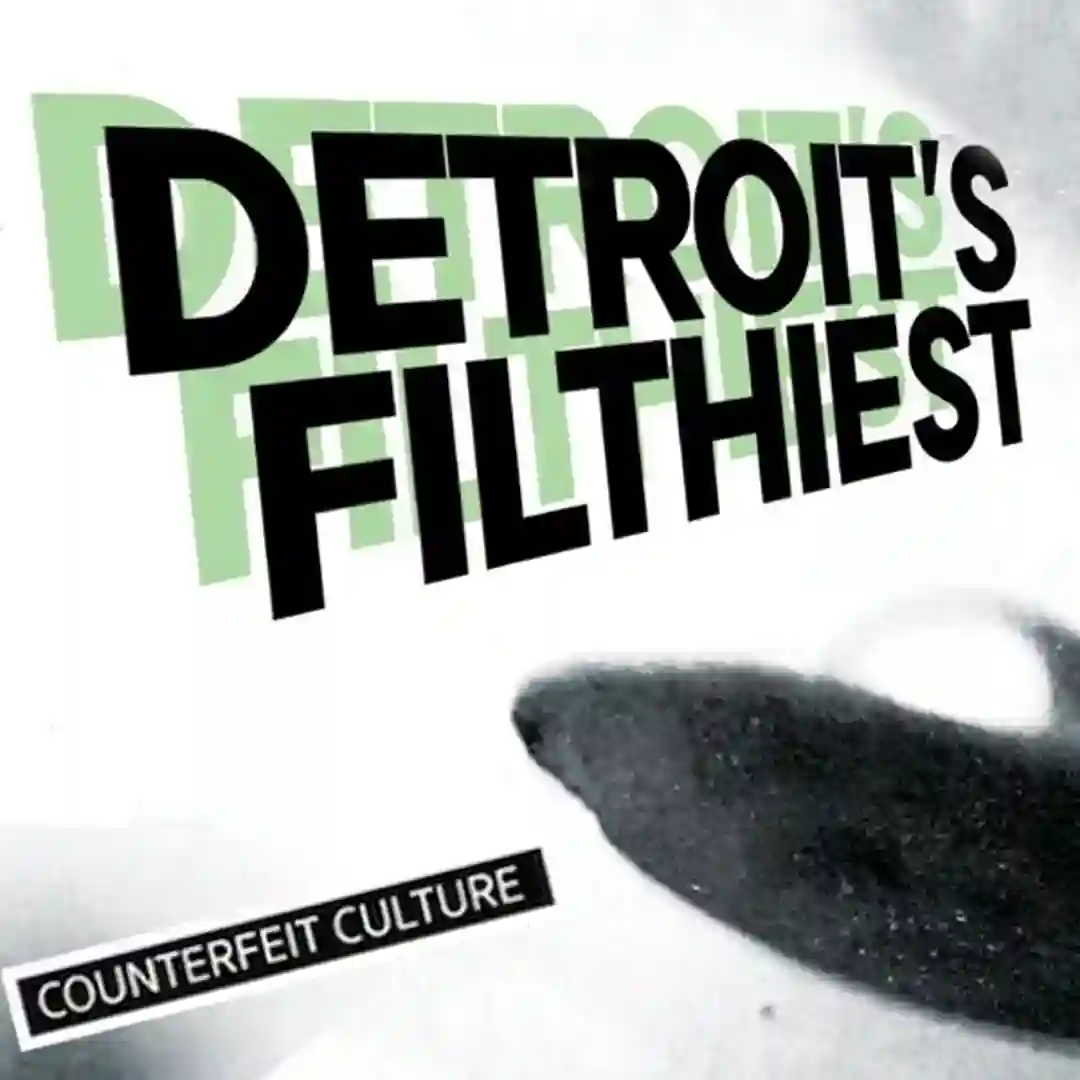 Mothership Has Landed cover